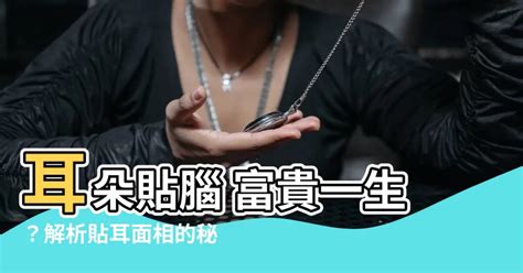 雙耳貼腦女|【貼耳腦】面相揭秘：貼耳腦的人，智慧與福澤的奧秘